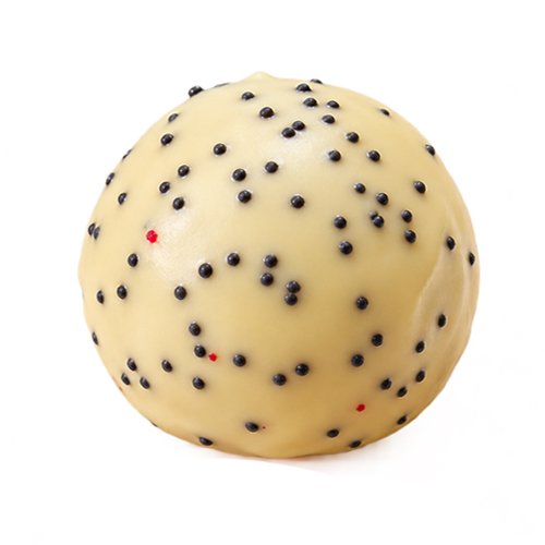 Poppy Seed1